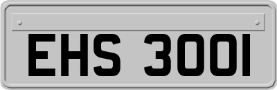 EHS3001