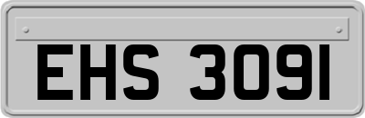 EHS3091
