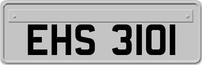 EHS3101