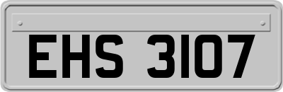 EHS3107