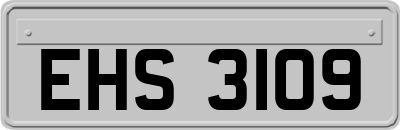 EHS3109