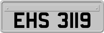 EHS3119