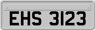 EHS3123