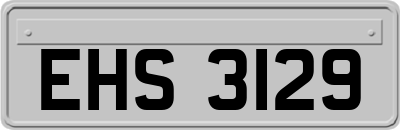 EHS3129
