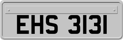 EHS3131