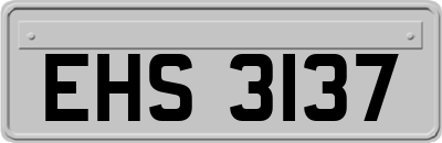 EHS3137