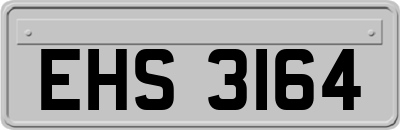 EHS3164