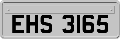 EHS3165