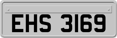 EHS3169