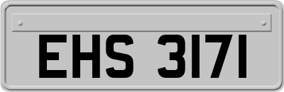 EHS3171