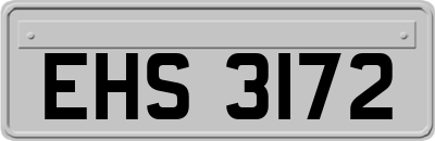 EHS3172
