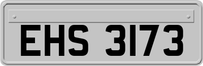 EHS3173