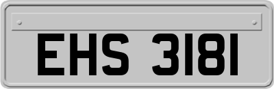 EHS3181