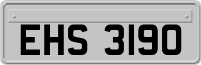 EHS3190