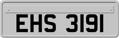 EHS3191