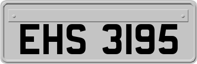 EHS3195