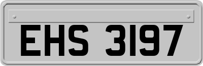 EHS3197