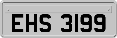 EHS3199