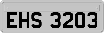 EHS3203
