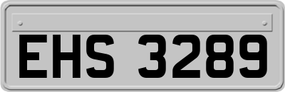EHS3289