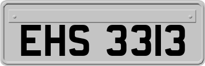 EHS3313
