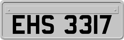 EHS3317