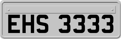 EHS3333