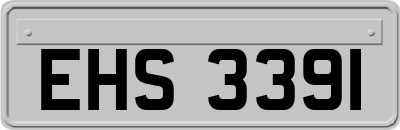 EHS3391