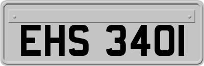 EHS3401