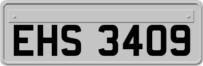 EHS3409