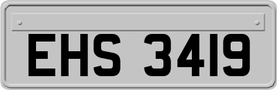 EHS3419
