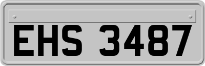 EHS3487