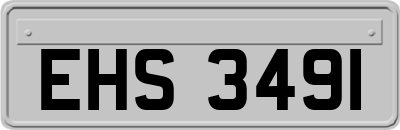 EHS3491