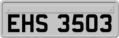 EHS3503