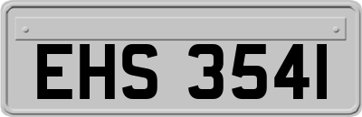 EHS3541