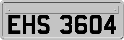 EHS3604