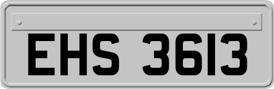 EHS3613