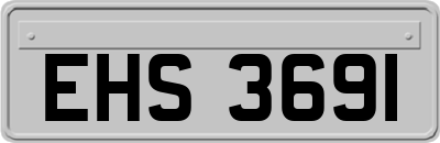 EHS3691