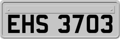 EHS3703