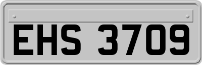 EHS3709