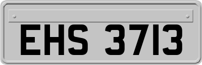 EHS3713