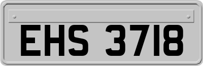 EHS3718