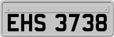EHS3738