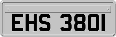 EHS3801
