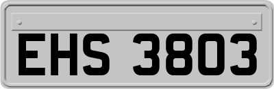 EHS3803
