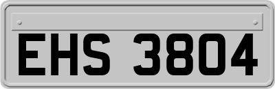 EHS3804