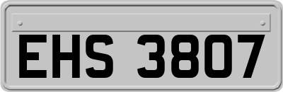EHS3807