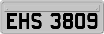 EHS3809