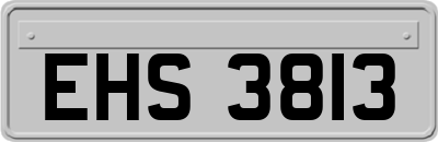 EHS3813