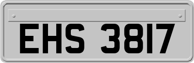 EHS3817